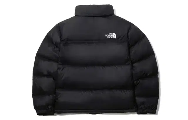 THE NORTH FACE 1996 Nuptse 700