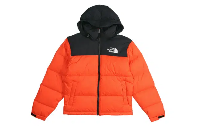 THE NORTH FACE 1996 Nuptse ICON 700