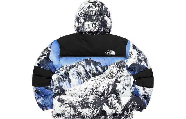 Supreme x THE NORTH FACE