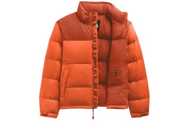 THE NORTH FACE 1996 Retro Nuptse 700