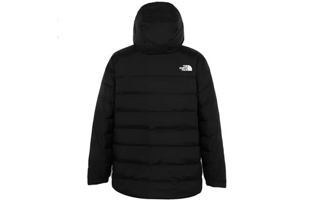 THE NORTH FACE Logo550