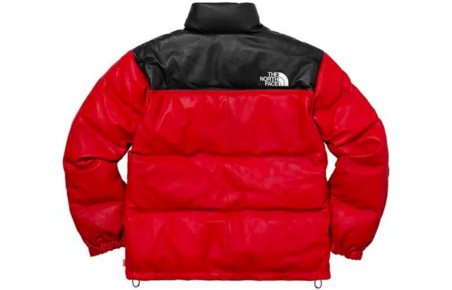 Supreme x THE NORTH FACE FW17