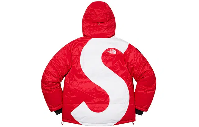 Supreme x THE NORTH FACE FW20 Logo