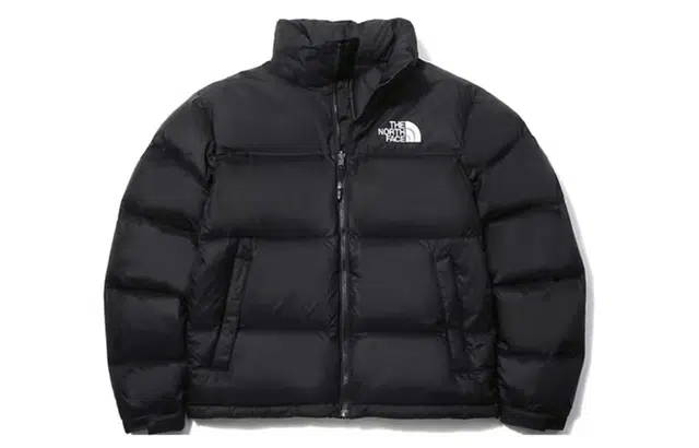 THE NORTH FACE 1996 Nuptse 700