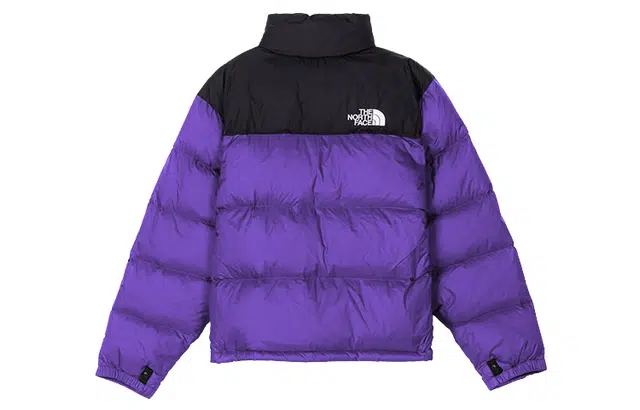 THE NORTH FACE 1996 Retro Nuptse 700