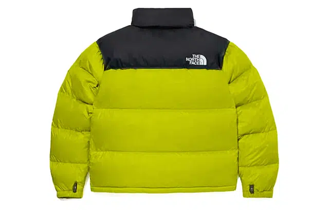 THE NORTH FACE 1996 Nuptse 700