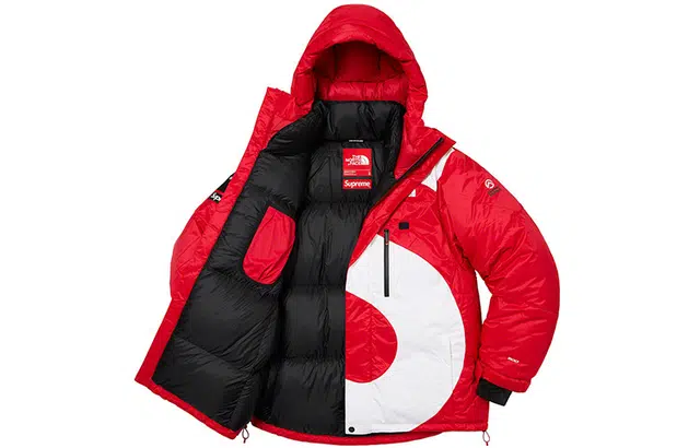 Supreme x THE NORTH FACE FW20 Logo