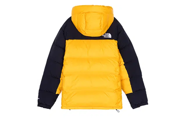 THE NORTH FACE DOWN PARKA ENERGY