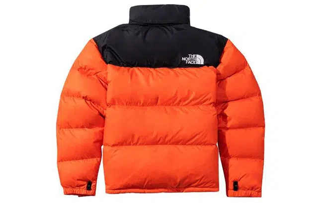 THE NORTH FACE 1996 Nuptse ICON 700