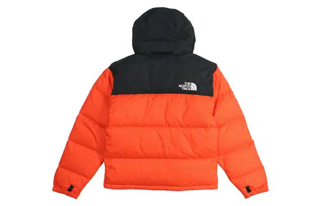THE NORTH FACE 1996 Nuptse ICON 700