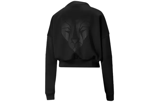 Puma Train Logo