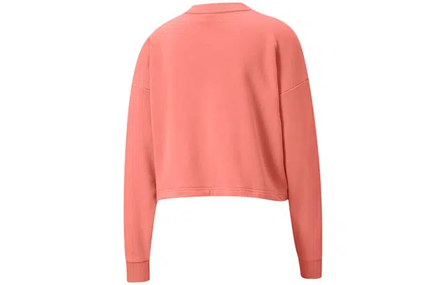 Puma Evide Logo