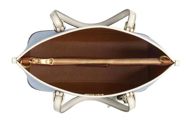 COACH Mollie 25 Tote