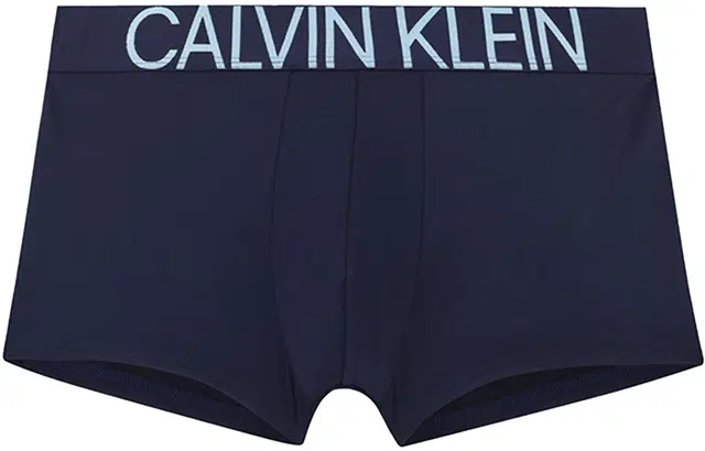 CKCalvin Klein Logo