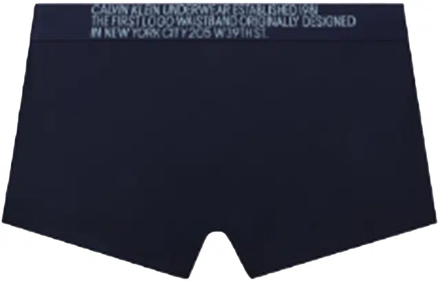 CKCalvin Klein Logo