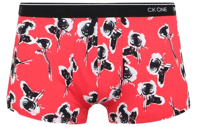 CKCalvin Klein