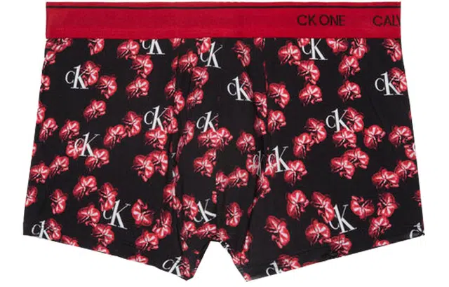 CKCalvin Klein Logo 1