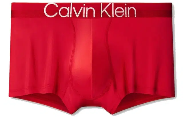 CKCalvin Klein Logo 1