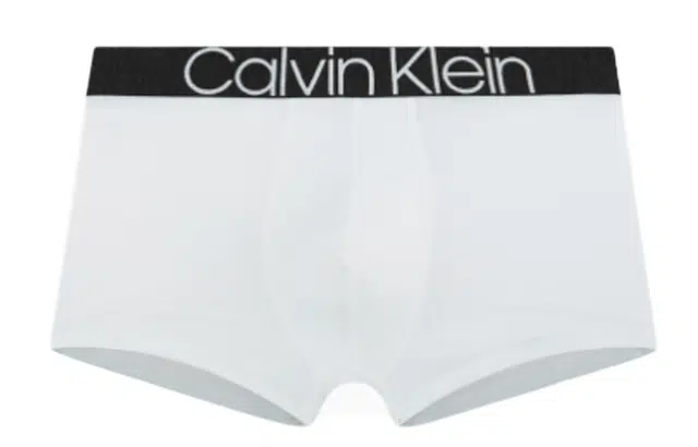 CKCalvin Klein Logo