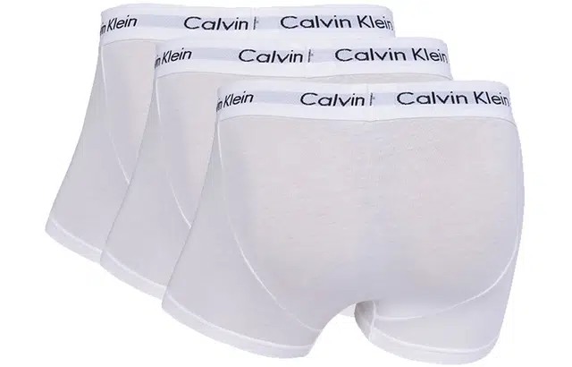 CKCalvin Klein Logo 13