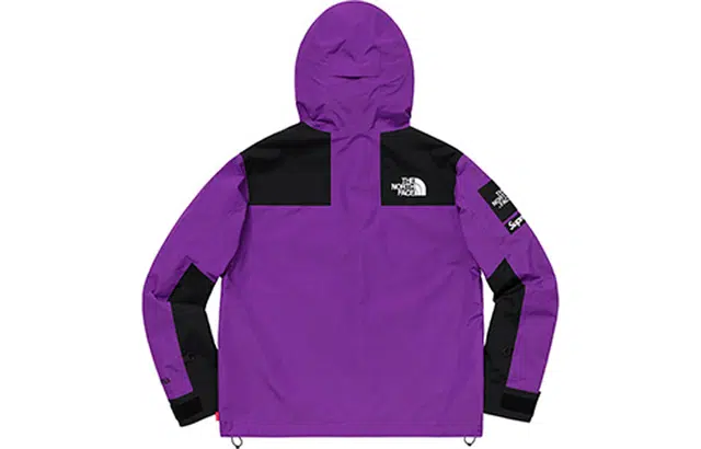 Supreme x THE NORTH FACE SS19