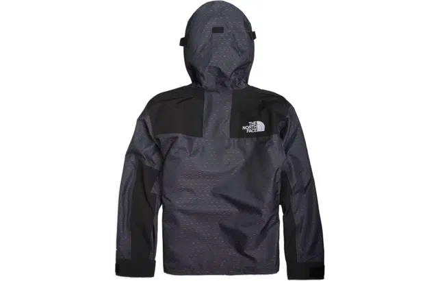 THE NORTH FACE 1990 Logo