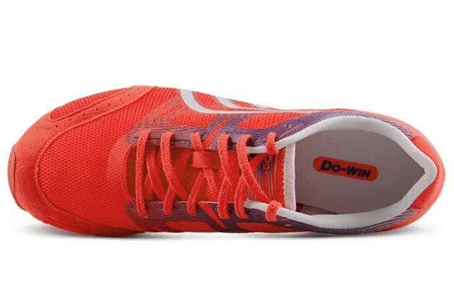 DO-WIN RC2 PRO
