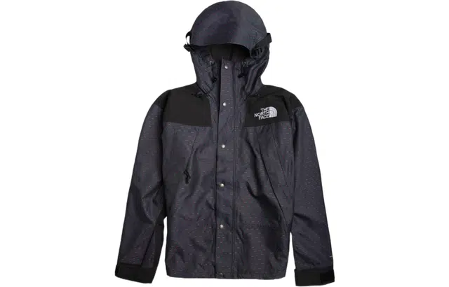 THE NORTH FACE 1990 Logo