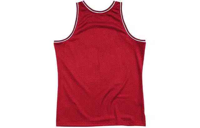 Mitchell Ness 66-67
