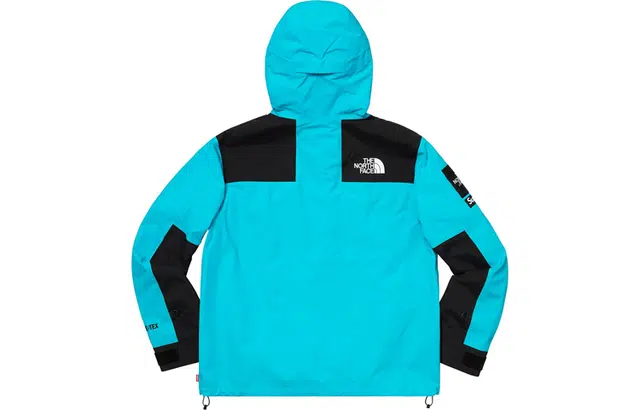 Supreme x THE NORTH FACE SS19