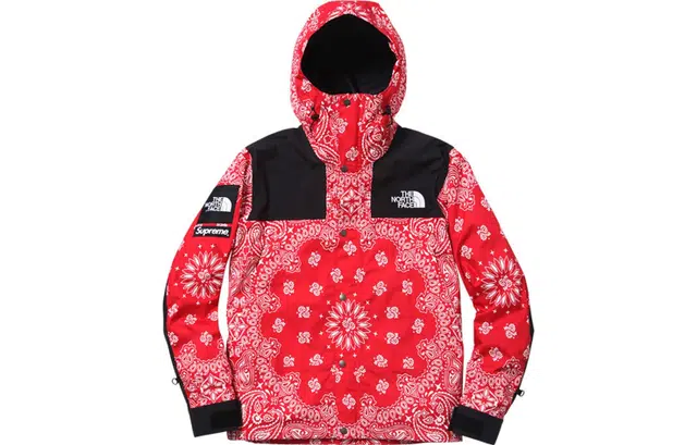 Supreme x THE NORTH FACE