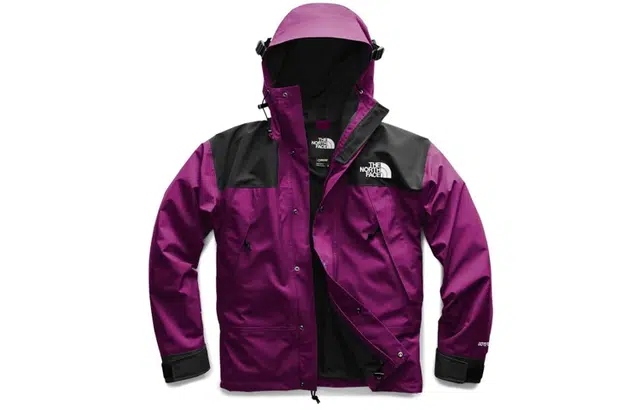 THE NORTH FACE 1990 Mountain Jacket GTX