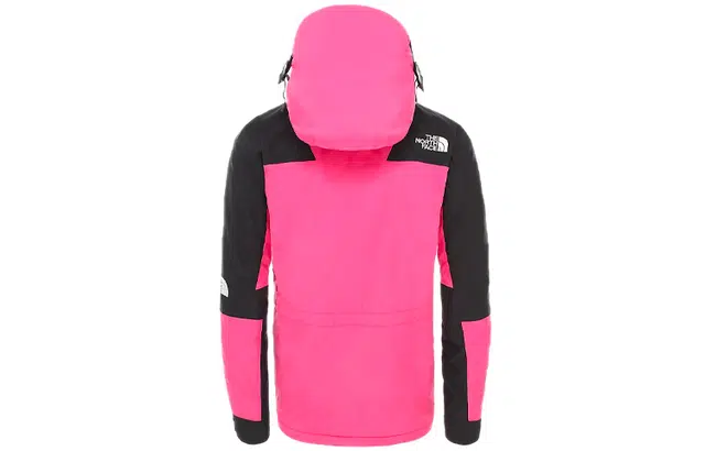 THE NORTH FACE 1994 Retro Mountain Futurelight