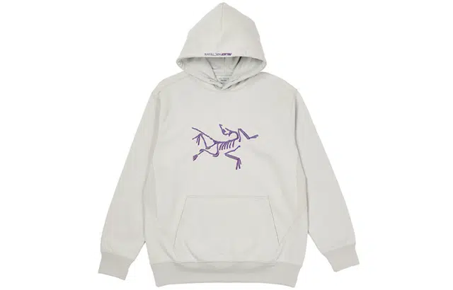 Arcteryx x PALACE Logo