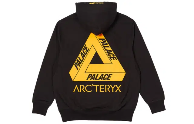 Arcteryx x PALACE Logo