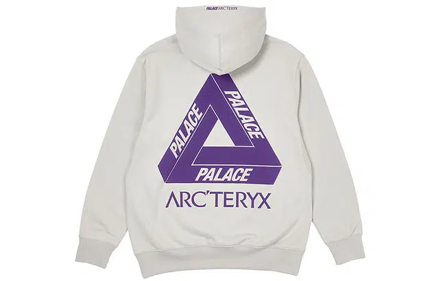 Arcteryx x PALACE Logo