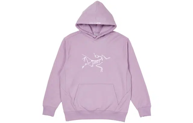 Arcteryx x PALACE Logo