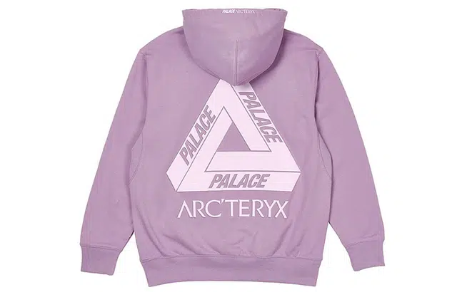 Arcteryx x PALACE Logo