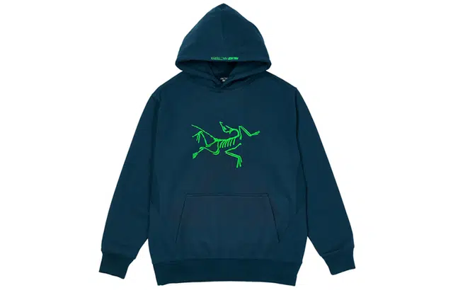 Arcteryx x PALACE Logo