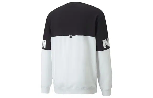 Puma Power Logo