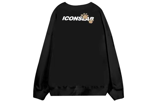 ICONS Lab