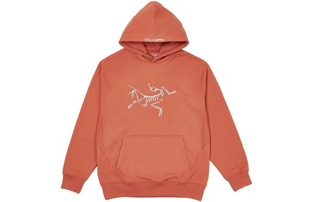 Arcteryx x PALACE Logo