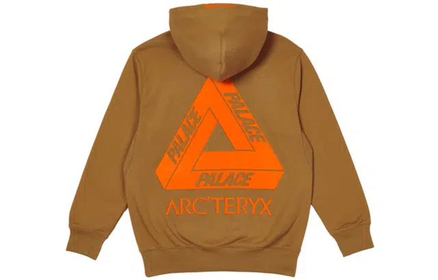 Arcteryx x PALACE Logo