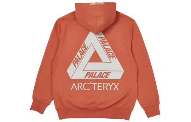 Arcteryx x PALACE Logo