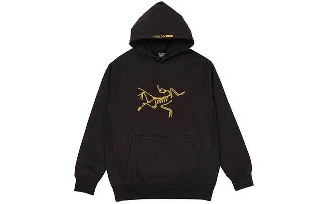 Arcteryx x PALACE Logo