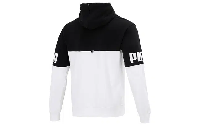 Puma Power Logo