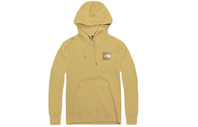 THE NORTH FACE SS22 logo