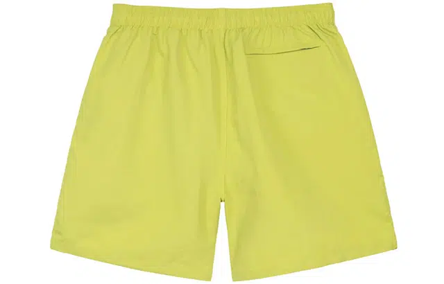 Stussy Stock Water Short