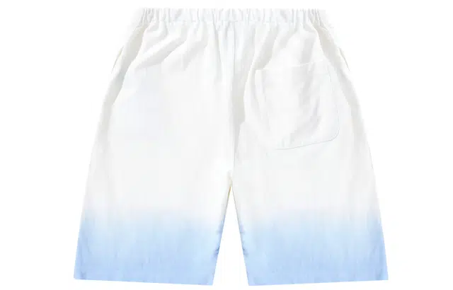 Champion Shorts