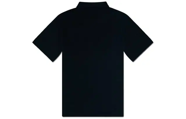 THE NORTH FACE LogoPolo